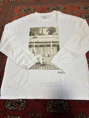 THE INTERNATIONAL ART COLLECTION