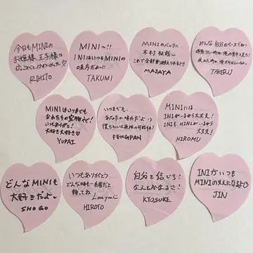 INI 낙하물