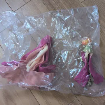 원피스급 피규어