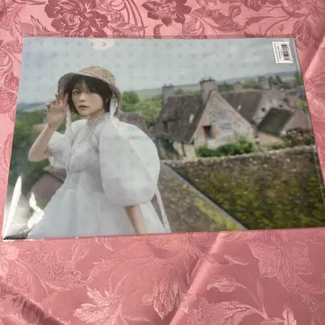 미나세 이노리 heart bookmark 투어 굿즈 클리어 파일 2세트