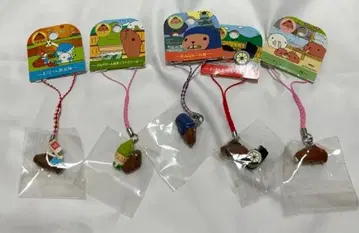 [교토 한정판] 카피바라 씨 지역 한정 키링