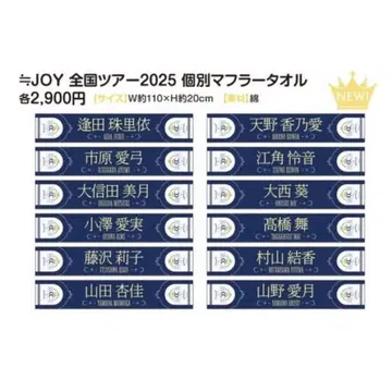 니아조이 전국 투어 2025 개별 머플러 타월