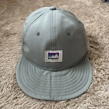Patagonia 캡 스카이블루