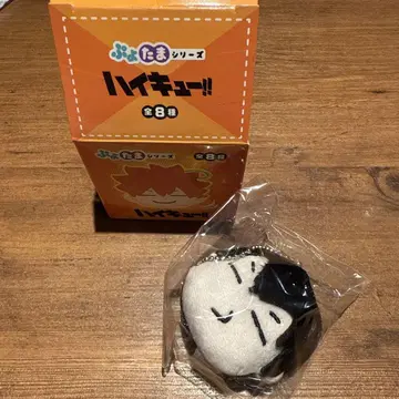 하이큐 카게야마 푸요타마