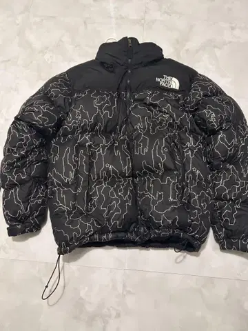 THE NORTH FACE 다운 자켓