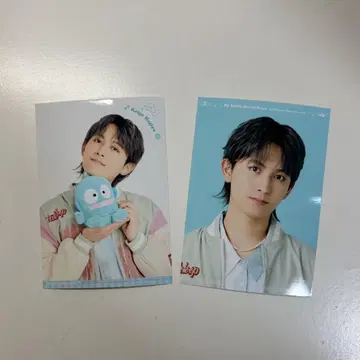 마이베스 산리오 콜라보 하기야 케이고 브로마이드