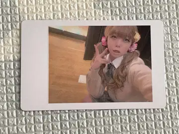 팬더 드래곤 아즈 폴라로이드 하피카 갸루