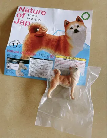 Nature of Japan 일본의 생물 2 [ 시바견 ]
