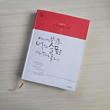 어쩌면 별들이 너의 슬픔을 가져갈지도 몰라 한국어 도깨비