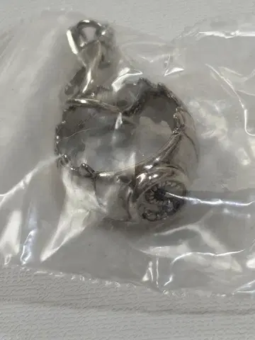 가정교사 히트맨 REBORN! 라르 밀치 반지