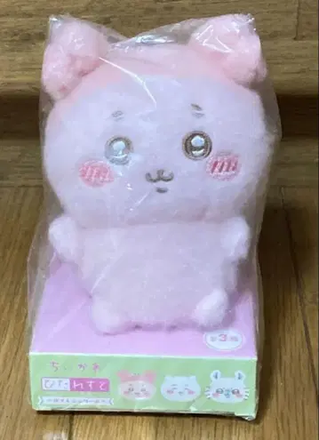 치이카와  헌책방