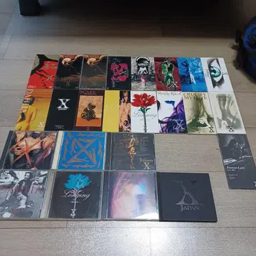 X Japan CD 컬렉션