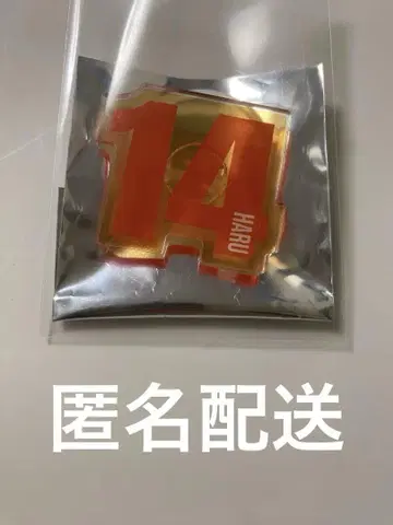 초특급 하루 응원봉 액세서리 팬미