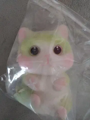 nana샵 스퀴즈