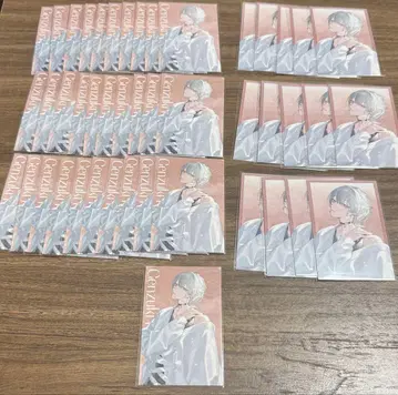 니지산지 겐가츠 토지로 SUISAI 폴라로이드