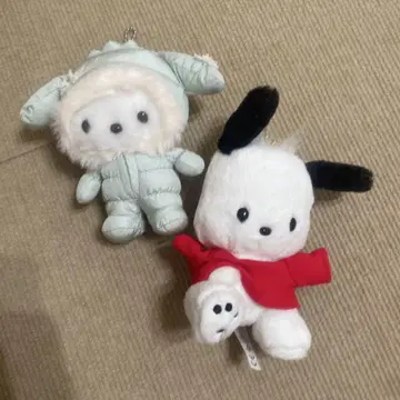 포차코 벌스데이 겨울 사용