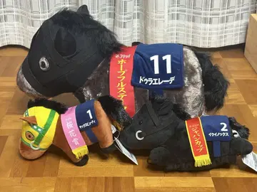 사라콜레 두라엘레드 이쿠이노스 맥스 뷰티 3체 묶음 판매