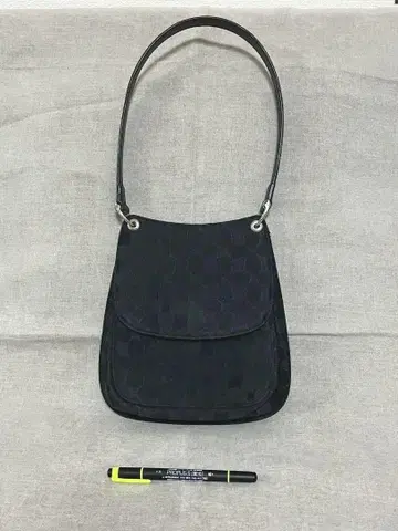 아쿠아 스큐텀 미니 백 파티 백 빈티지