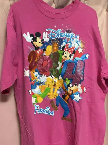 Disney 2014 Florida 핑크 T셔츠