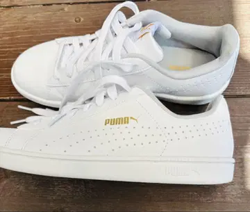 [새상품급] PUMA 업 퍼프 01WHITE/GOLD 24cm
