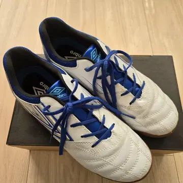 풋살화 액셀러레이터 24cm