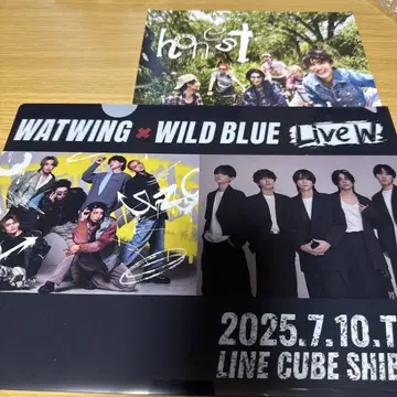 WATWING WILD BLUE Live 클리어 파일 전단지 honest