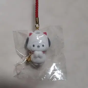 포차코 부탁 부적 고양이 오네가이