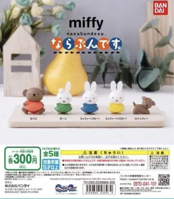 miffy 나란분데스 컴플리트 세트