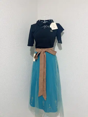 시마무라 치하루 Disney 안나 엘사 세트