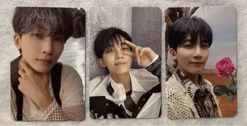 SEVENTEEN 트레이딩 카드 정한 3장