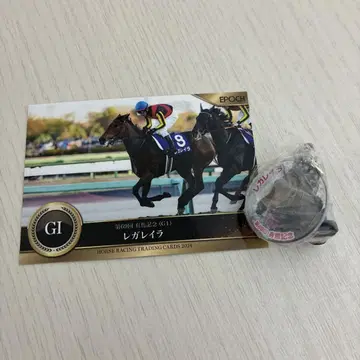 아이돌 호스 미니 컬렉션 VoL.41 G1 레가레이라