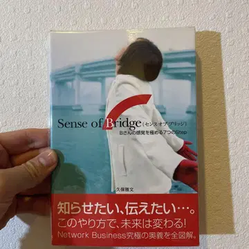 Sense of Bridge