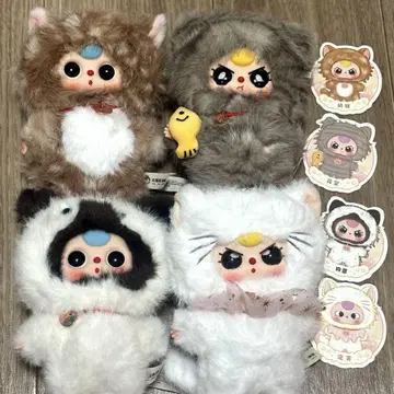 Babythree 베이비쓰리 고양이 나는 누구의 고양이