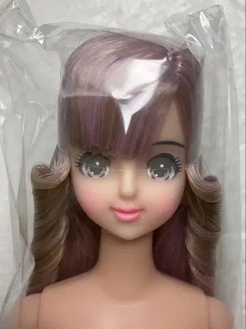리카짱 캐슬 오타노시미 인형 제니 오타노시미 인형