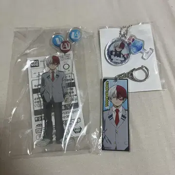 히로아카 토도로키 쇼토 세트