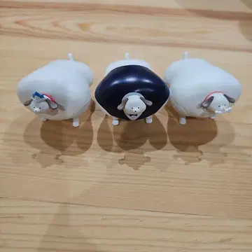어깨 너비 개 3세트