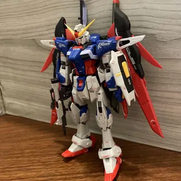 rg 디스티니 정크 완성품