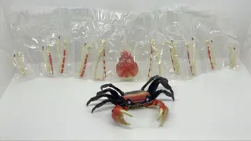 생물대도감 게 피규어