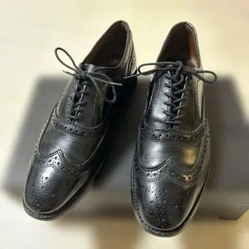 Allen Edmonds MCALLISTER US8D black