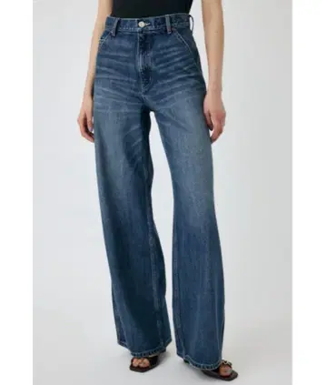 MOUSSY PAINTER WIDE STRAIGHT