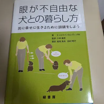 눈이 불편한 개와의 생활 방식