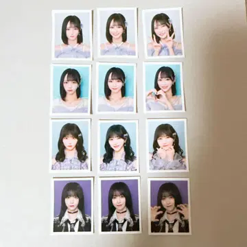이코럽 노구치 이오리 ID 사진