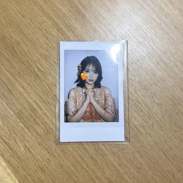 진세이 스즈카 폴라로이드