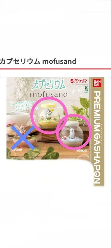 가챠가챠 카프세리움 mofusand 모프 샌드 2종