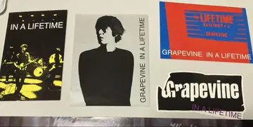 GRAPEVINE 스티커 세트 그레이프바인