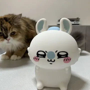 치이카와 (먼작귀) 모몽가 룸 라이트