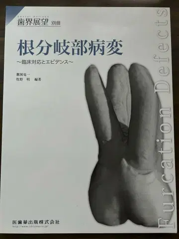 치과전망 별책 치근분지부 병변