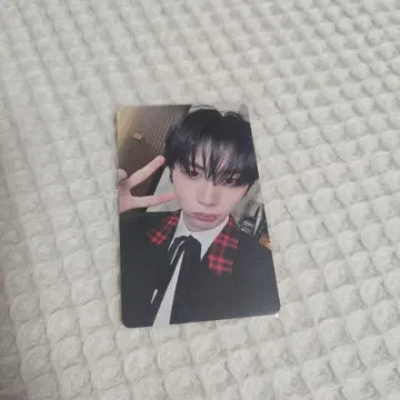 타워 레코드 테산 라키드 로 BOYLIFE