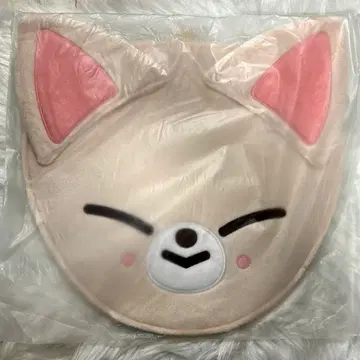 straykids 부채 케이스 폭시니
