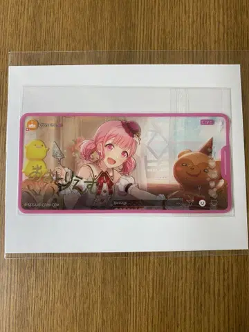 프로세카 메모스테 금박 호우 에무